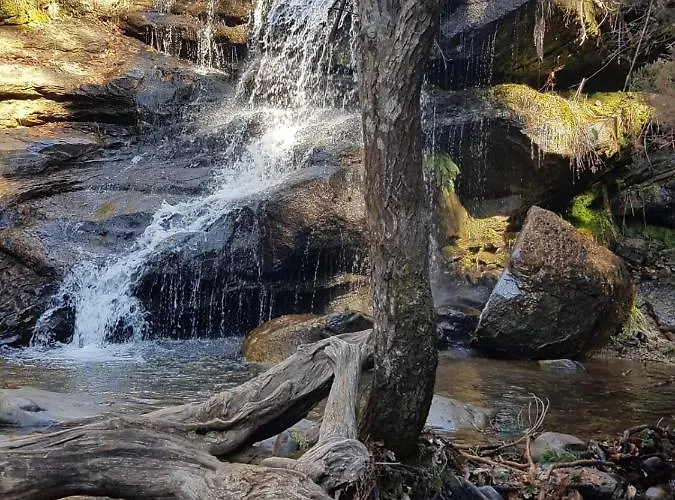 Piso Inma Appartement